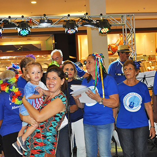 exposicao 2017